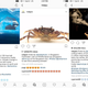 Examples of Cypress Hill commenting on National Geographic’s Instagram photos.